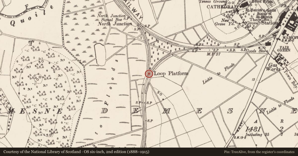 Ordnance Survey six-inch map, 2nd edition (1888–1915) covering the location of Downpatrick Loop Station, Newry, Mourne and Down, with a pin at the register's coordinates