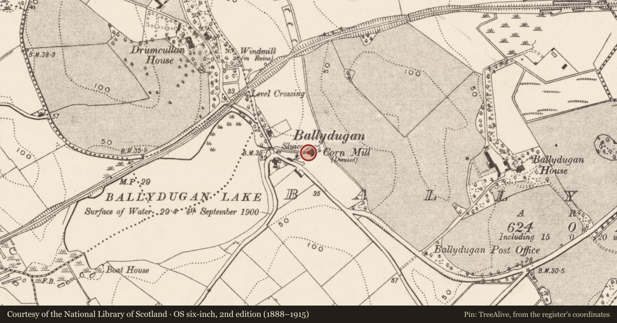 Ordnance Survey six-inch map, 2nd edition (1888–1915) covering the location of Ballydugan Flour Mill, Newry, Mourne and Down, with a pin at the register's coordinates