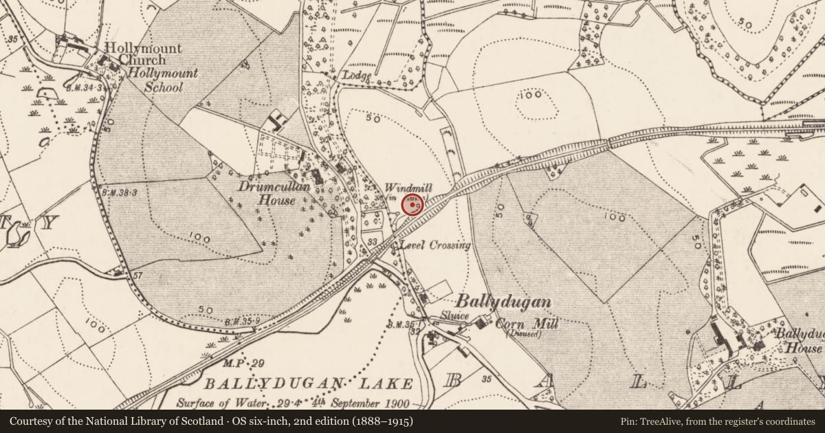 Ordnance Survey six-inch map, 2nd edition (1888–1915) covering the location of Ballydugan Windmill, Newry, Mourne and Down, with a pin at the register's coordinates