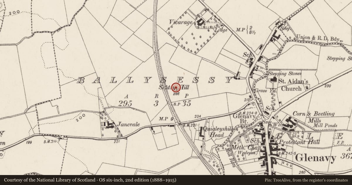 Ordnance Survey six-inch map, 2nd edition (1888–1915) covering the location of 36A Crumlin Road, Lisburn and Castlereagh, with a pin at the register's coordinates