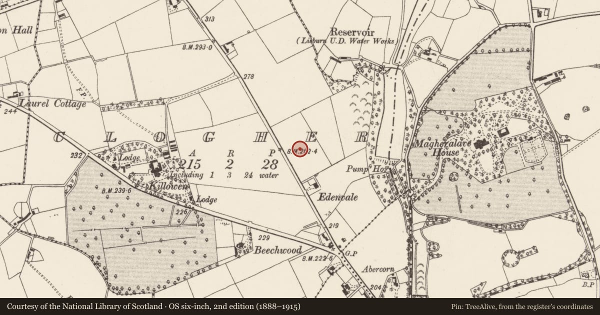 Ordnance Survey six-inch map, 2nd edition (1888–1915) covering the location of Former Vicarage, Lisburn and Castlereagh, with a pin at the register's coordinates