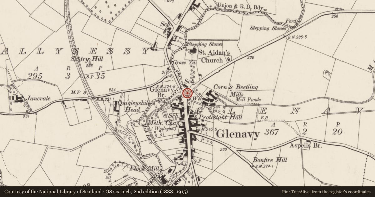 Ordnance Survey six-inch map, 2nd edition (1888–1915) covering the location of War Memorial, Lisburn and Castlereagh, with a pin at the register's coordinates