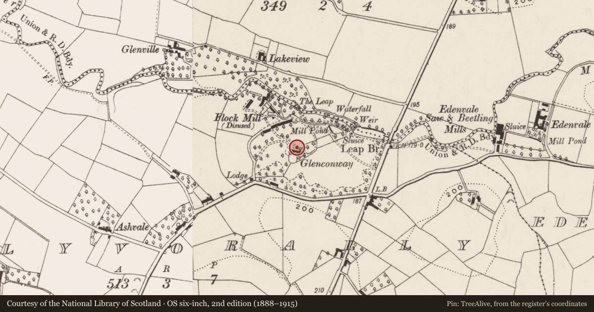 Ordnance Survey six-inch map, 2nd edition (1888–1915) covering the location of Glenconway, Lisburn and Castlereagh, with a pin at the register's coordinates