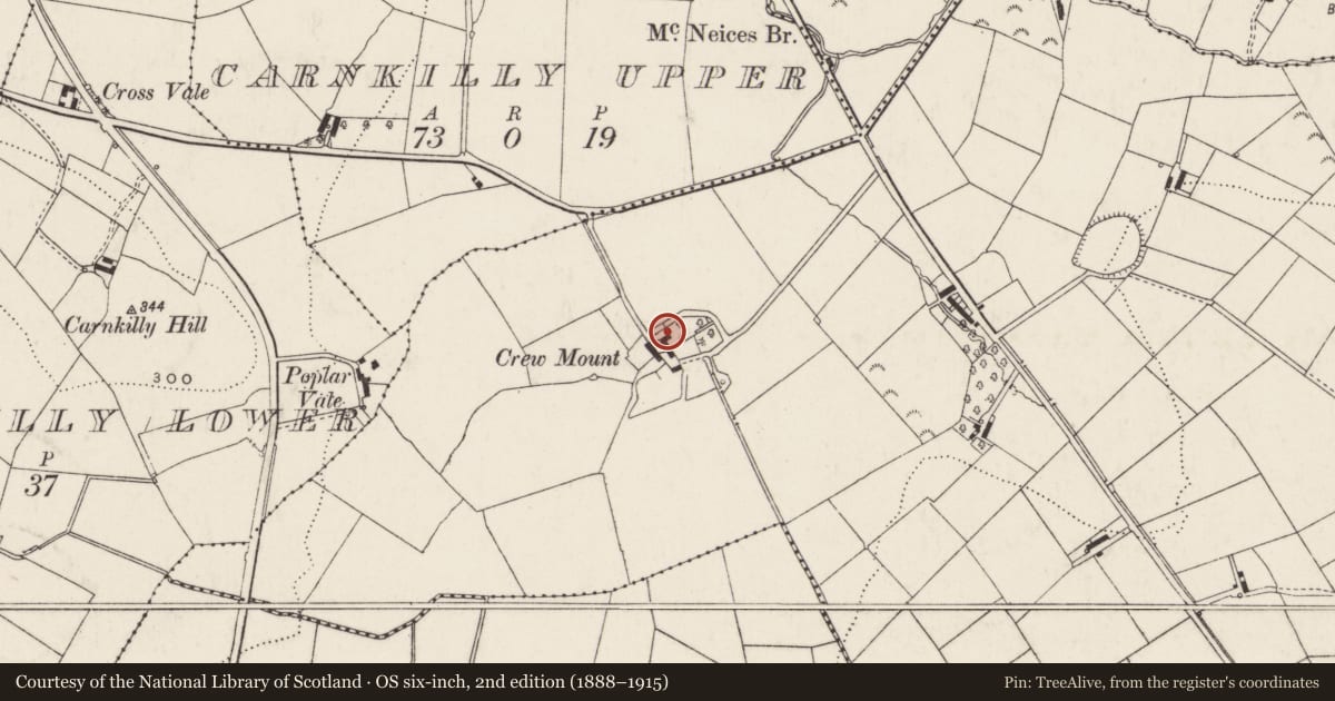 Ordnance Survey six-inch map, 2nd edition (1888–1915) covering the location of Crew Mount, Lisburn and Castlereagh, with a pin at the register's coordinates