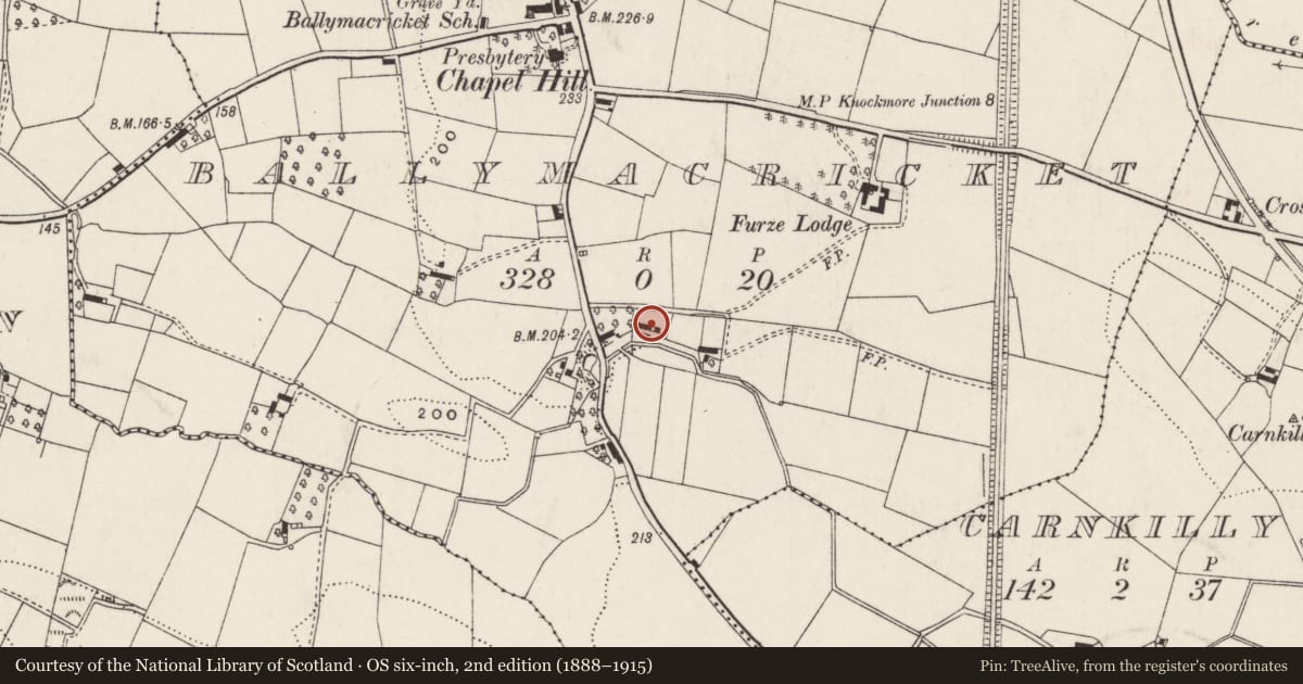 Ordnance Survey six-inch map, 2nd edition (1888–1915) covering the location of 38 Scroggy Road, Lisburn and Castlereagh, with a pin at the register's coordinates