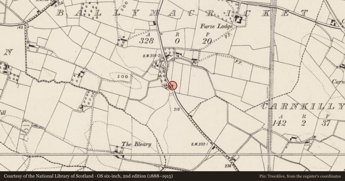 Ordnance Survey six-inch map, 2nd edition (1888–1915) covering the location of Scroggy Road, Lisburn and Castlereagh, with a pin at the register's coordinates