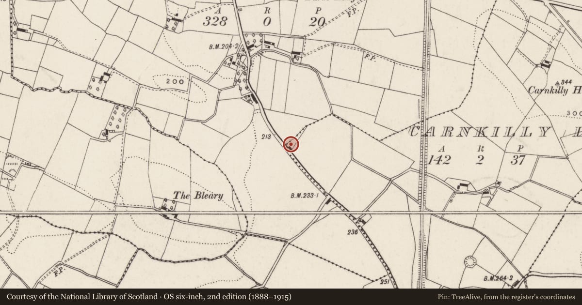 Ordnance Survey six-inch map, 2nd edition (1888–1915) covering the location of 28 Scroggy Road, Lisburn and Castlereagh, with a pin at the register's coordinates