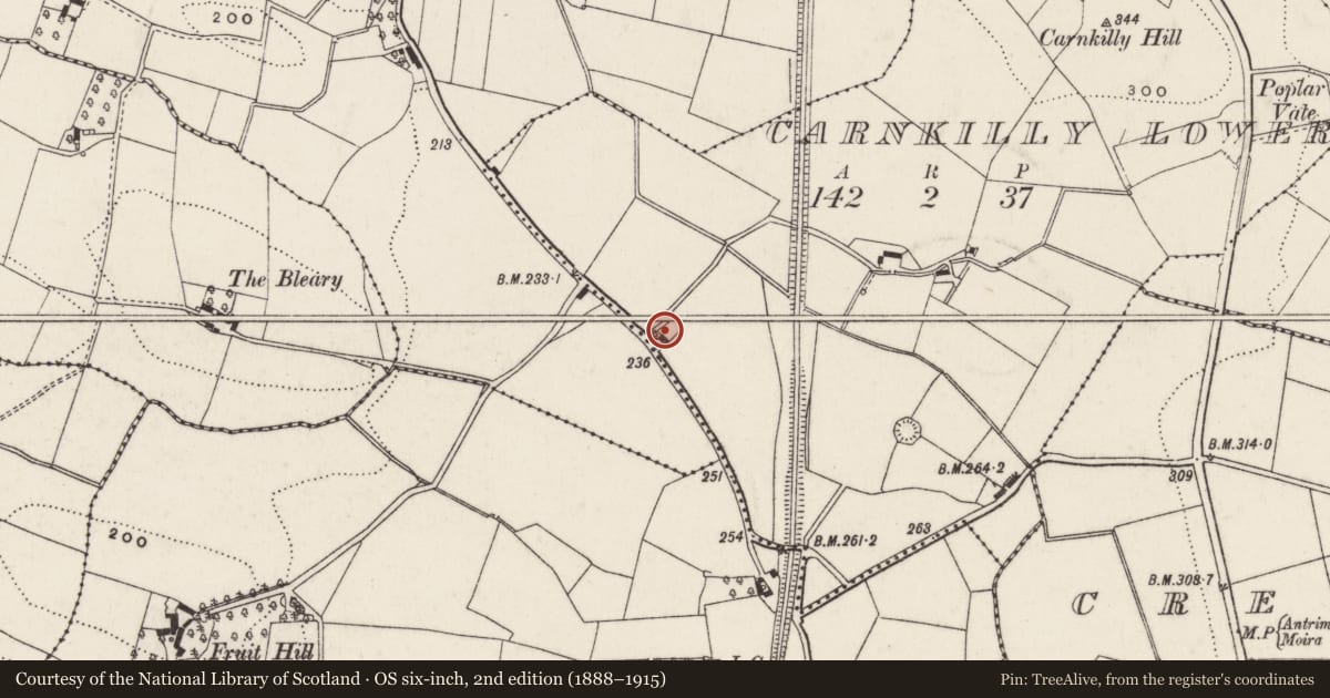 Ordnance Survey six-inch map, 2nd edition (1888–1915) covering the location of 20 Scroggy Road, Carnkilly Lower, Lisburn and Castlereagh, with a pin at the register's coordinates