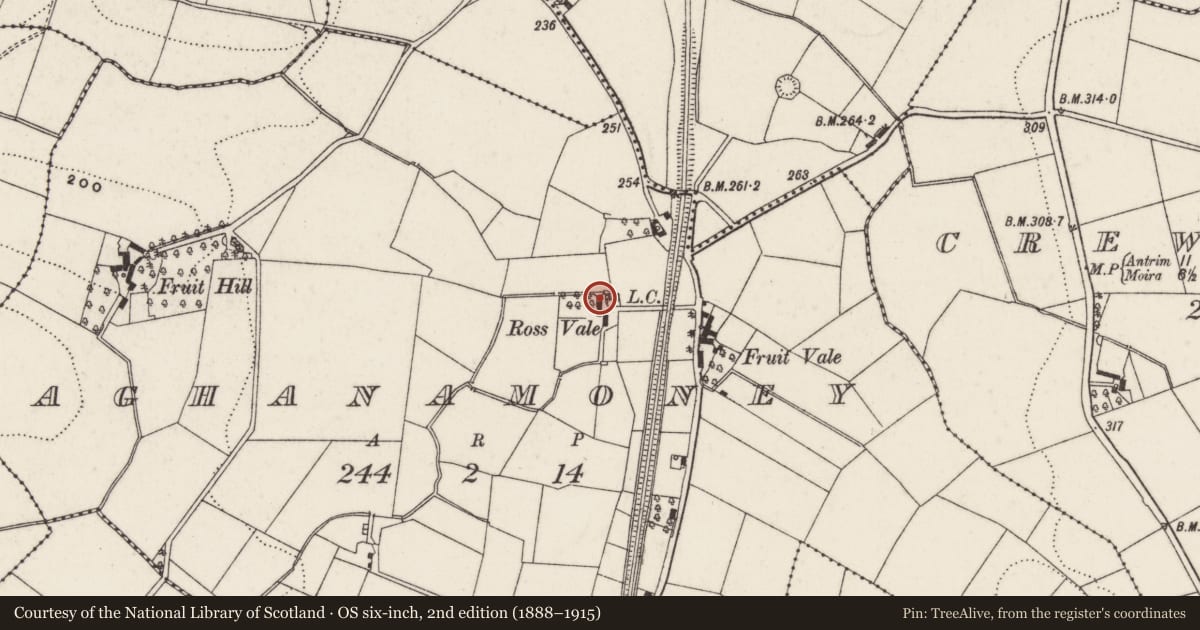 Ordnance Survey six-inch map, 2nd edition (1888–1915) covering the location of Ross Vale, Lisburn and Castlereagh, with a pin at the register's coordinates