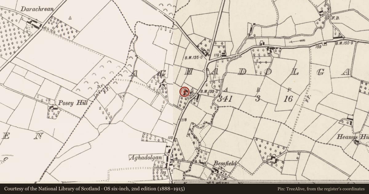 Ordnance Survey six-inch map, 2nd edition (1888–1915) covering the location of 53 Crumlin Road, Lisburn and Castlereagh, with a pin at the register's coordinates