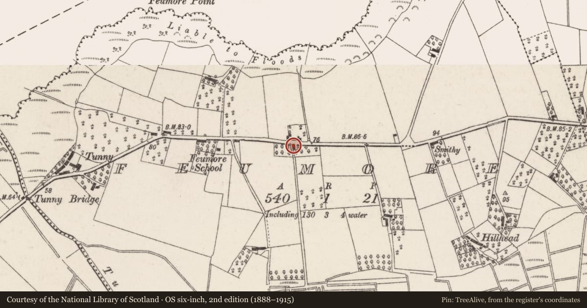 Ordnance Survey six-inch map, 2nd edition (1888–1915) covering the location of 9 Feumore Road, Lisburn and Castlereagh, with a pin at the register's coordinates