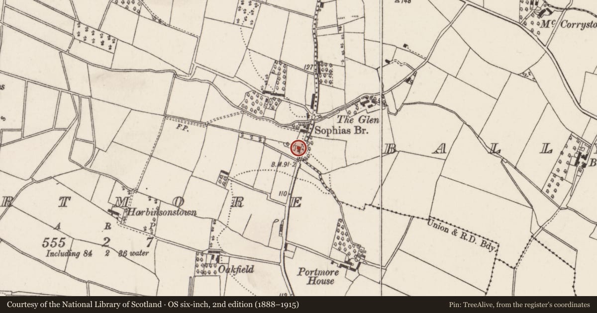 Ordnance Survey six-inch map, 2nd edition (1888–1915) covering the location of Former thatched house, Lisburn and Castlereagh, with a pin at the register's coordinates