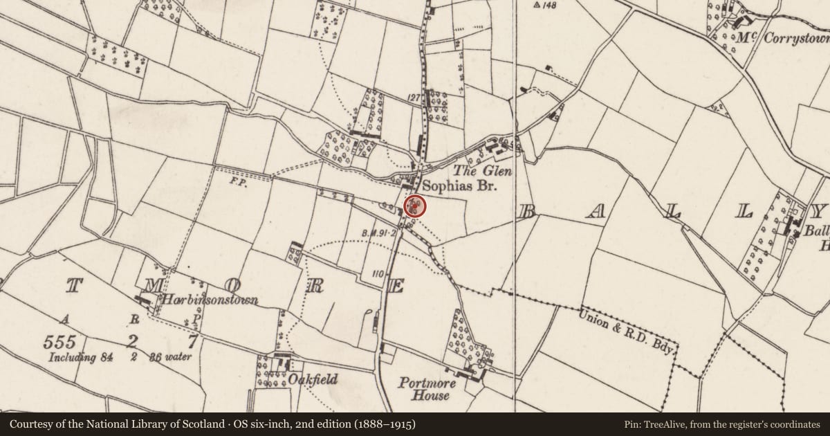 Ordnance Survey six-inch map, 2nd edition (1888–1915) covering the location of Former thatched house, Lisburn and Castlereagh, with a pin at the register's coordinates