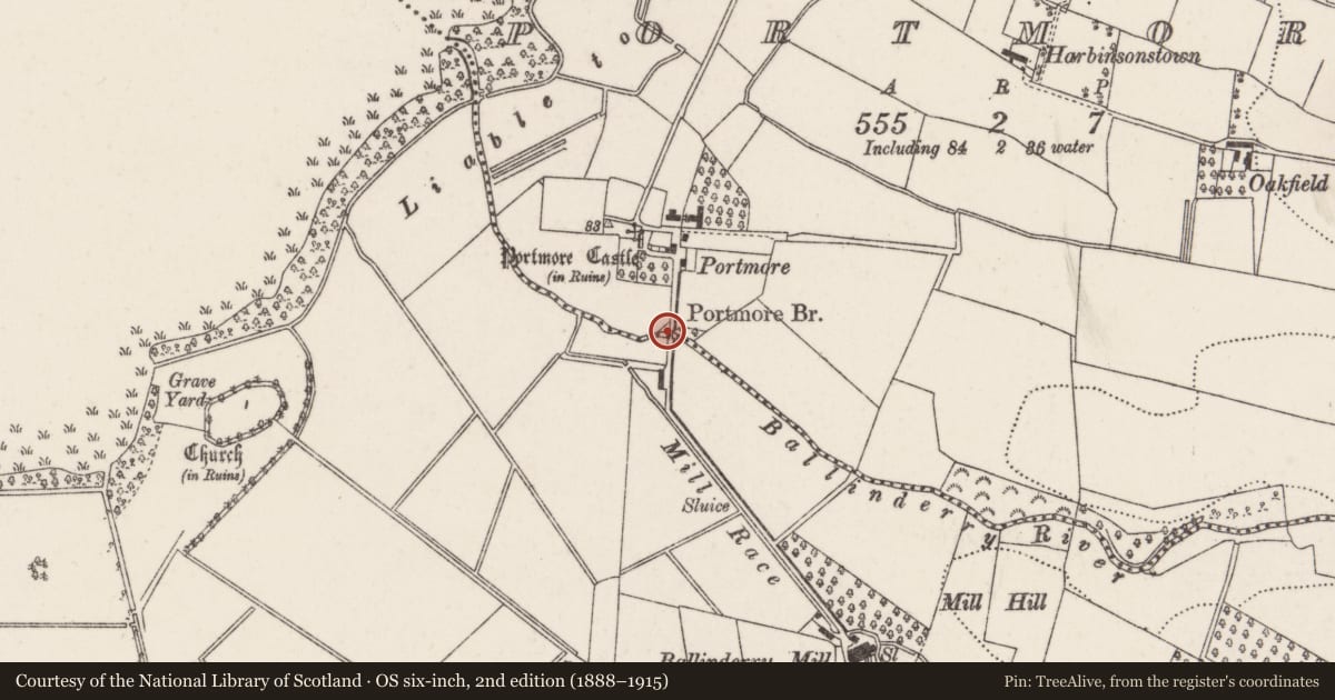 Ordnance Survey six-inch map, 2nd edition (1888–1915) covering the location of Portmore Bridge, Lisburn and Castlereagh, with a pin at the register's coordinates