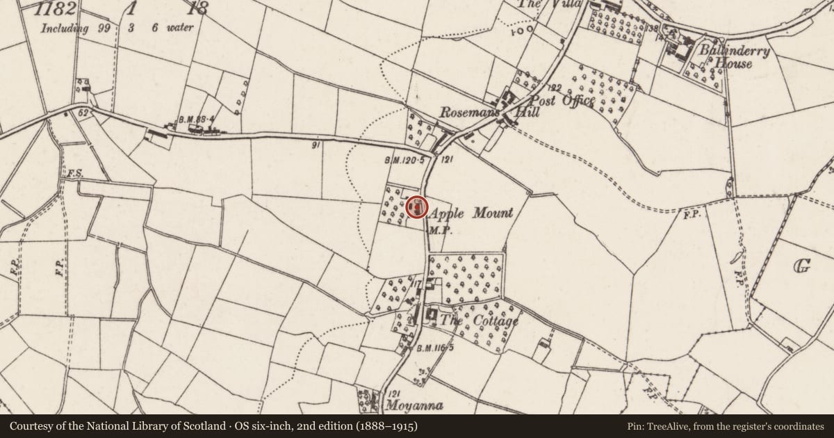 Ordnance Survey six-inch map, 2nd edition (1888–1915) covering the location of Applemount, Lisburn and Castlereagh, with a pin at the register's coordinates