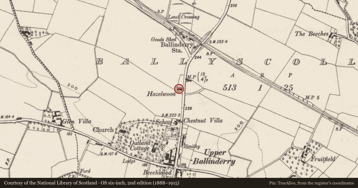 Ordnance Survey six-inch map, 2nd edition (1888–1915) covering the location of Hazelwood, Lisburn and Castlereagh, with a pin at the register's coordinates