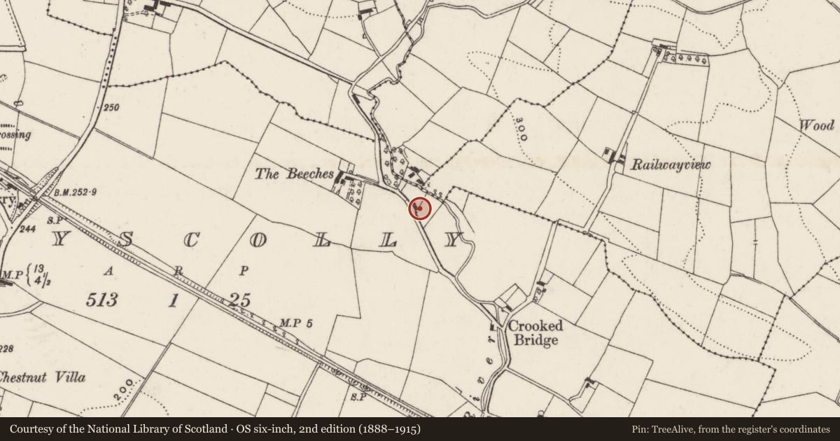 Ordnance Survey six-inch map, 2nd edition (1888–1915) covering the location of Temple Road, Lisburn and Castlereagh, with a pin at the register's coordinates