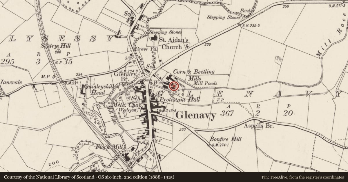 Ordnance Survey six-inch map, 2nd edition (1888–1915) covering the location of Glenavy Mill, Lisburn and Castlereagh, with a pin at the register's coordinates
