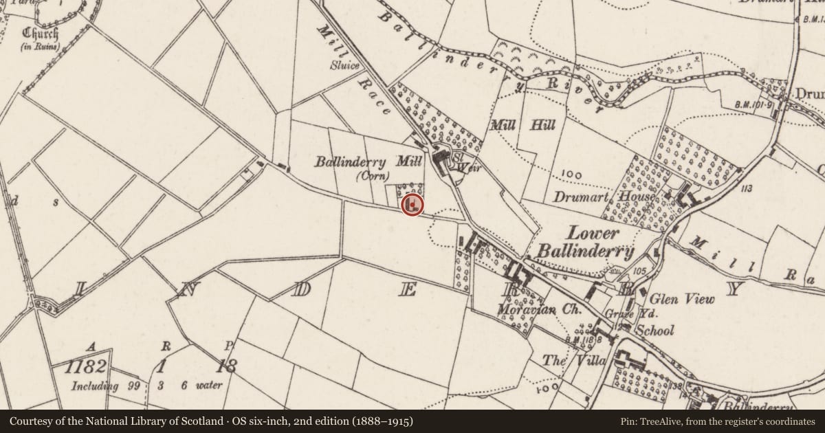Ordnance Survey six-inch map, 2nd edition (1888–1915) covering the location of 1 Dornan’s Road, Ballinderry, Lisburn and Castlereagh, with a pin at the register's coordinates