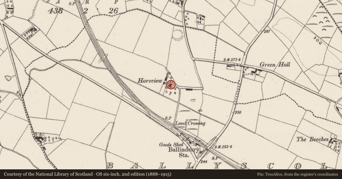 Ordnance Survey six-inch map, 2nd edition (1888–1915) covering the location of Fort Marian, Ballyscolly, Lisburn and Castlereagh, with a pin at the register's coordinates