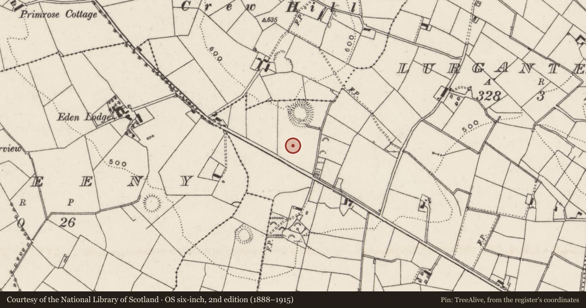 Ordnance Survey six-inch map, 2nd edition (1888–1915) covering the location of 12 Crewe Road, Lisburn and Castlereagh, with a pin at the register's coordinates