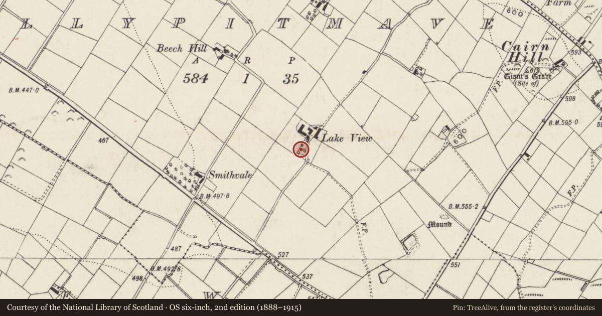 Ordnance Survey six-inch map, 2nd edition (1888–1915) covering the location of Lakeview (Balance Home), Lisburn and Castlereagh, with a pin at the register's coordinates