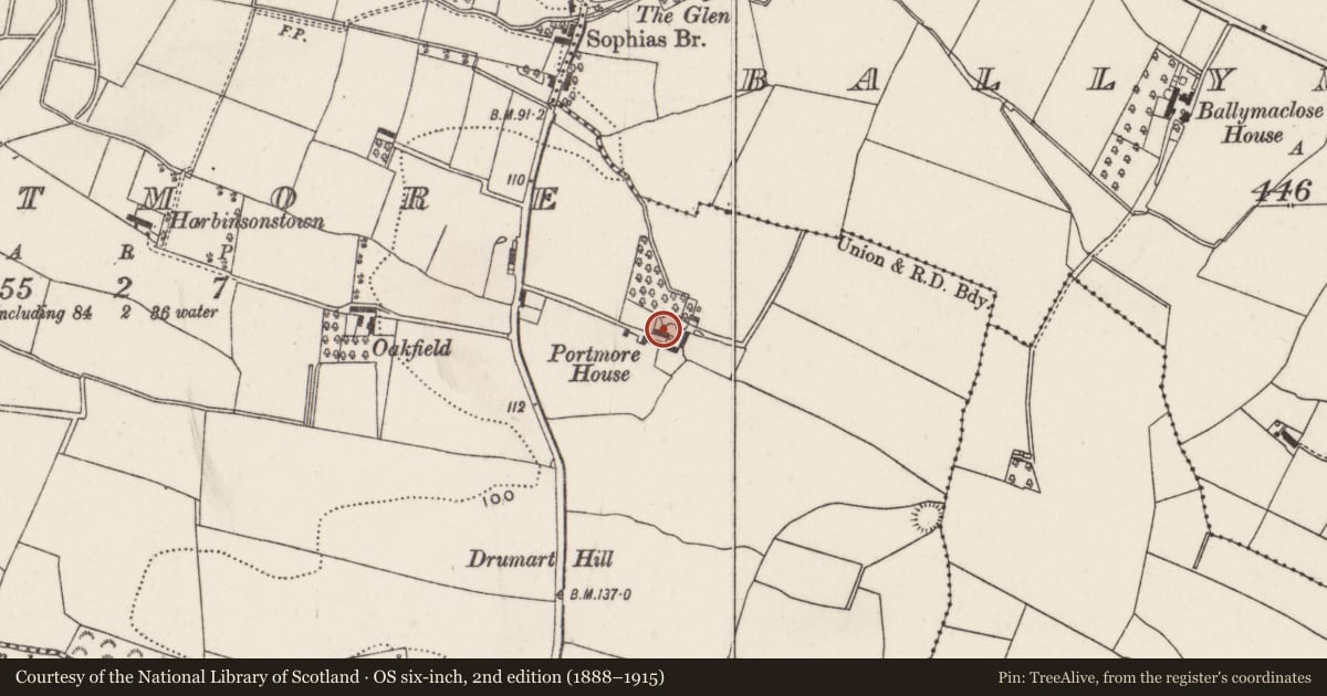 Ordnance Survey six-inch map, 2nd edition (1888–1915) covering the location of Portmore House, Lisburn and Castlereagh, with a pin at the register's coordinates