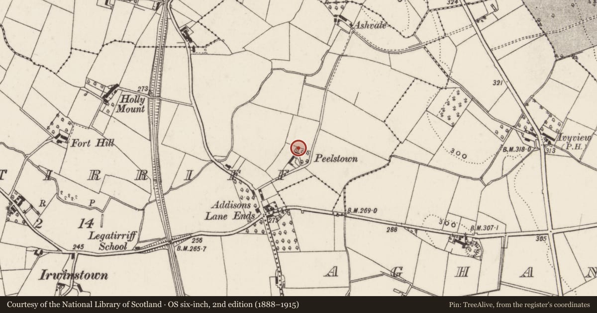 Ordnance Survey six-inch map, 2nd edition (1888–1915) covering the location of Peelstown, Lisburn and Castlereagh, with a pin at the register's coordinates