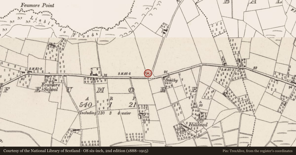 Ordnance Survey six-inch map, 2nd edition (1888–1915) covering the location of Pump, Feumore, Lisburn and Castlereagh, with a pin at the register's coordinates