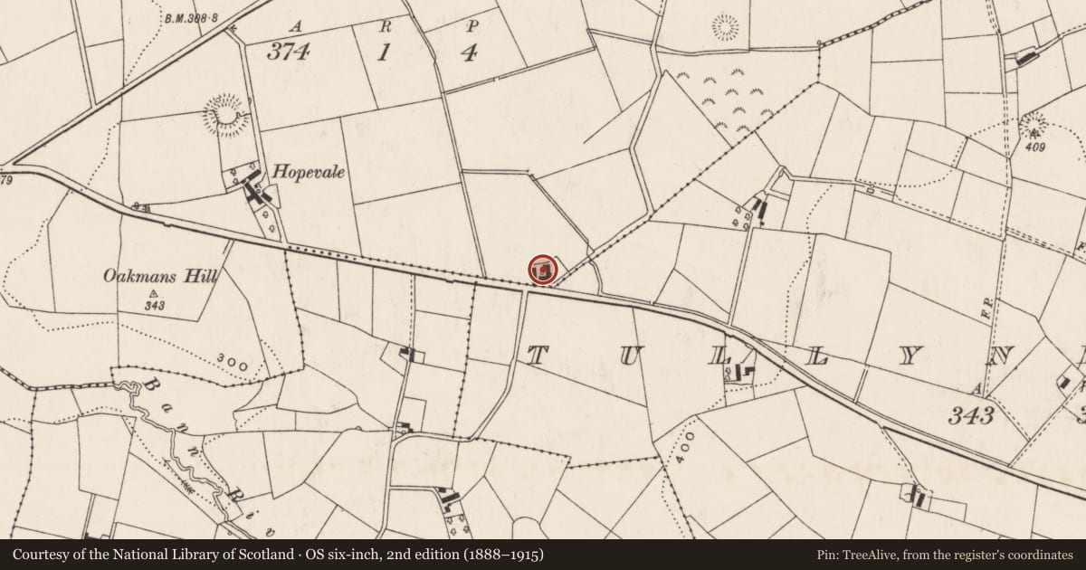 Ordnance Survey six-inch map, 2nd edition (1888–1915) covering the location of 42 Belfast Road, Ballyminimore/Tullynewbane, Lisburn and Castlereagh, with a pin at the register's coordinates