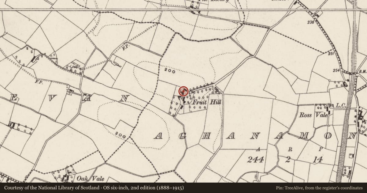 Ordnance Survey six-inch map, 2nd edition (1888–1915) covering the location of Fruit Hill, Aghanamoney, Lisburn and Castlereagh, with a pin at the register's coordinates