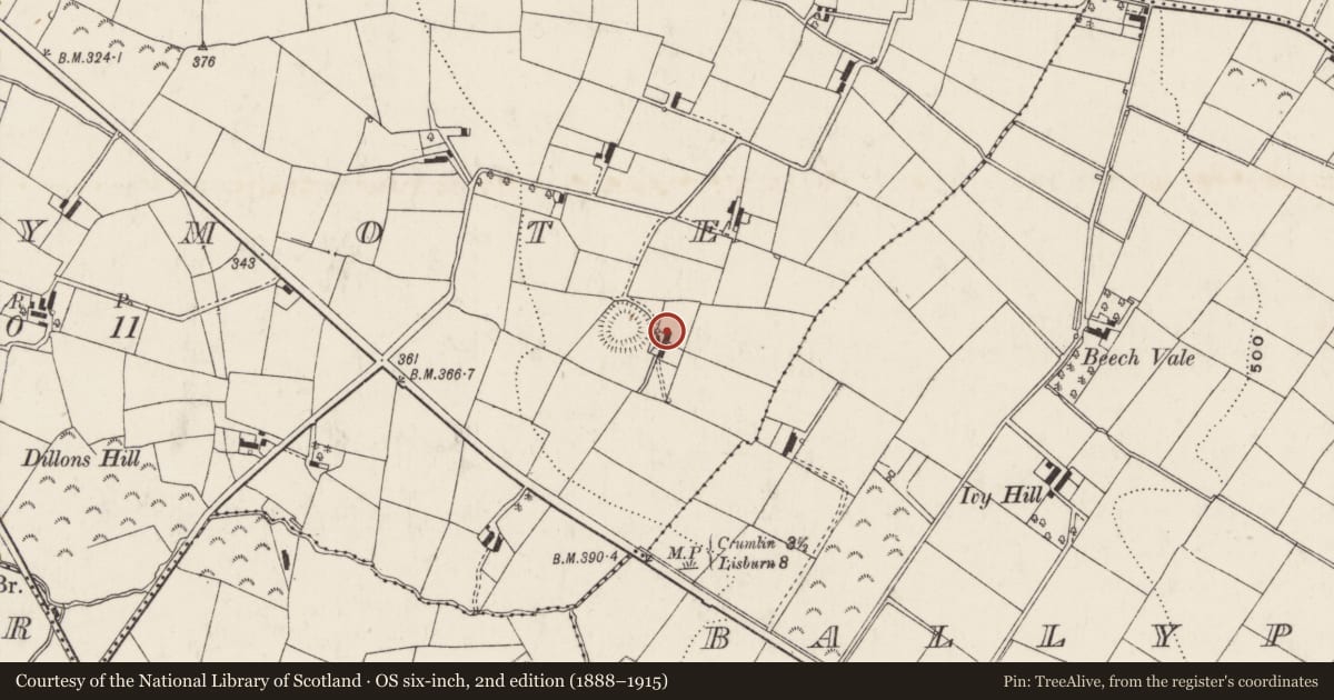 Ordnance Survey six-inch map, 2nd edition (1888–1915) covering the location of 25 Ballymote Road, Lisburn and Castlereagh, with a pin at the register's coordinates