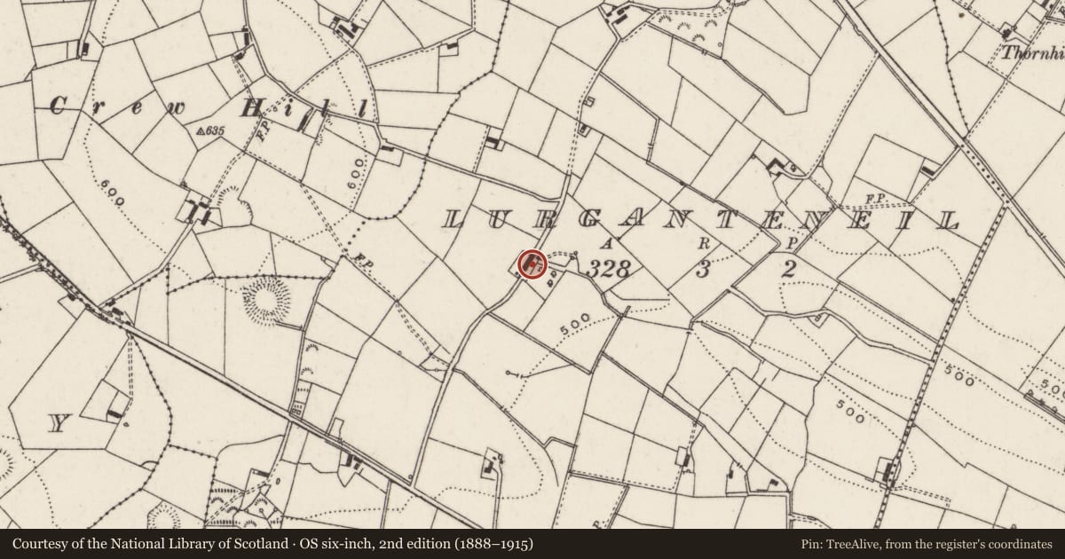 Ordnance Survey six-inch map, 2nd edition (1888–1915) covering the location of Roadside House, Lurganteneil, Lisburn and Castlereagh, with a pin at the register's coordinates