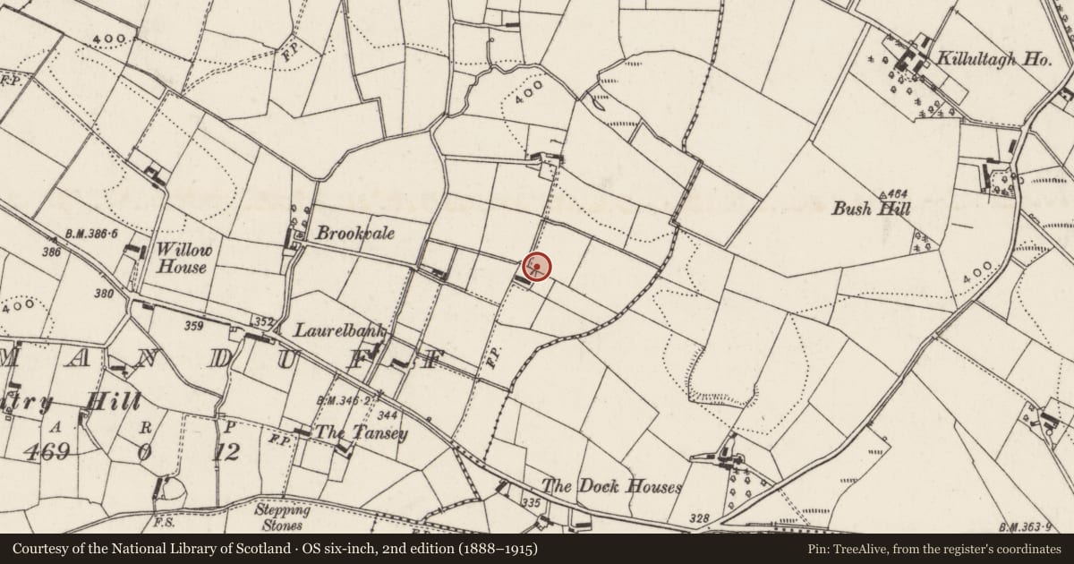 Ordnance Survey six-inch map, 2nd edition (1888–1915) covering the location of 16 Tansy Lane, Drumanduff, Lisburn and Castlereagh, with a pin at the register's coordinates