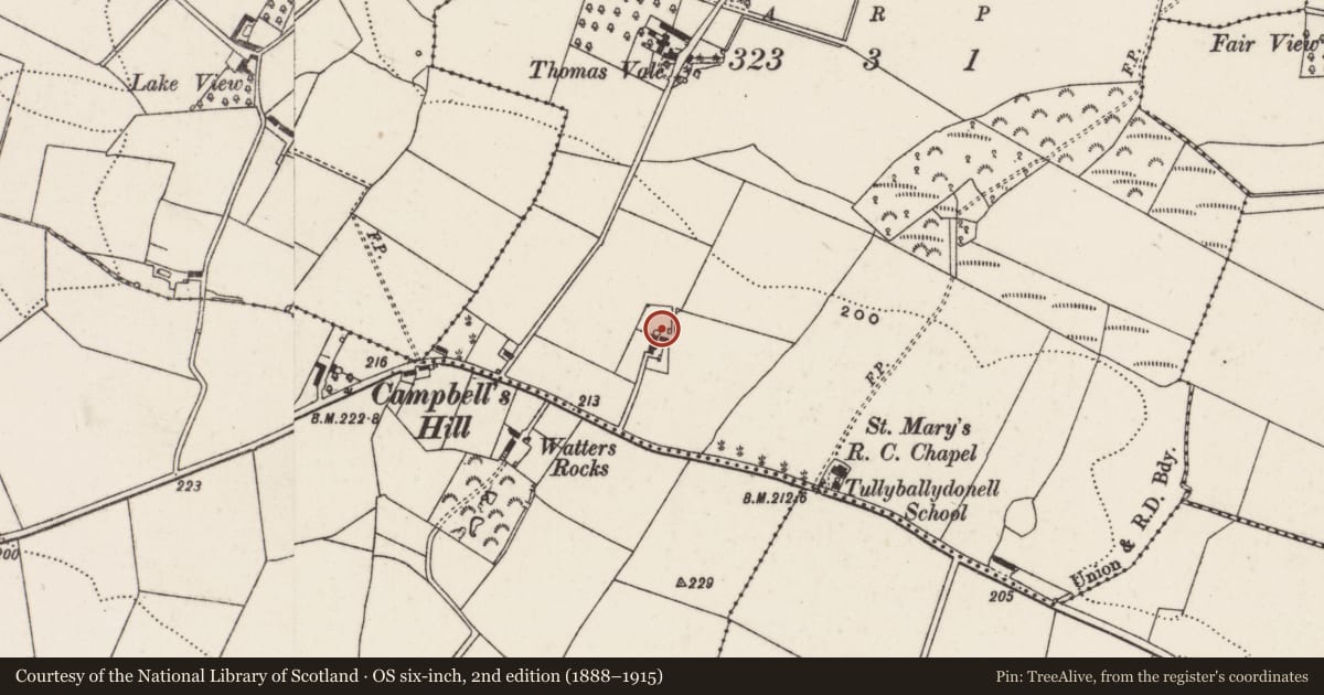 Ordnance Survey six-inch map, 2nd edition (1888–1915) covering the location of Chapel Road, Tullyballydonell, Lisburn and Castlereagh, with a pin at the register's coordinates
