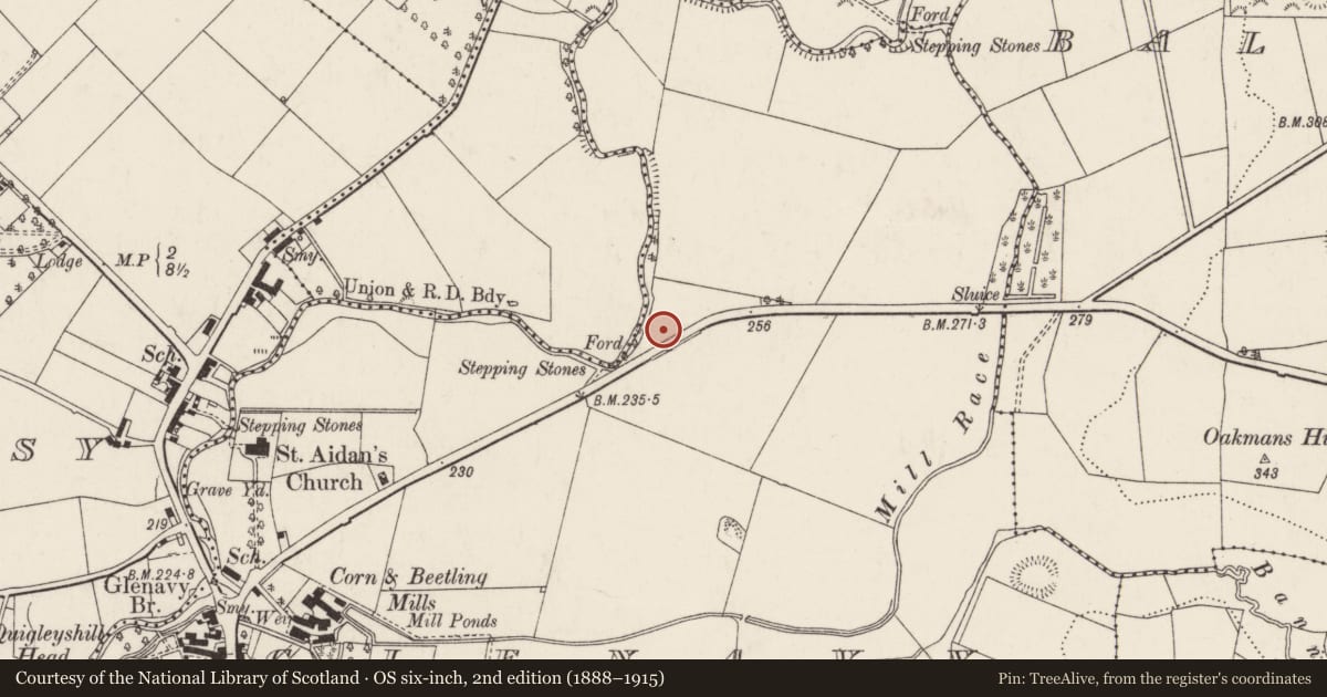 Ordnance Survey six-inch map, 2nd edition (1888–1915) covering the location of 16 Belfast Road, Glenavy, Lisburn and Castlereagh, with a pin at the register's coordinates