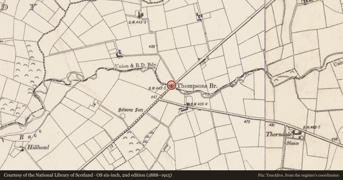 Ordnance Survey six-inch map, 2nd edition (1888–1915) covering the location of Thompson’s Bridge, Antrim and Newtownabbey, with a pin at the register's coordinates