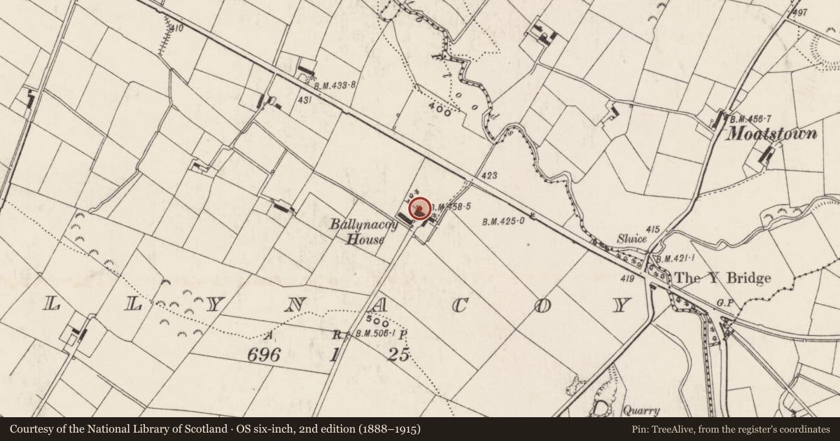 Ordnance Survey six-inch map, 2nd edition (1888–1915) covering the location of Ballynacoy House, Lisburn and Castlereagh, with a pin at the register's coordinates