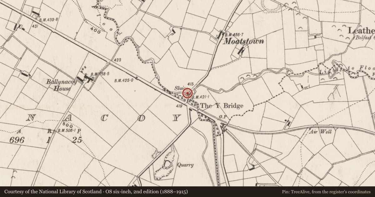 Ordnance Survey six-inch map, 2nd edition (1888–1915) covering the location of Sluice and Rubble Bridge, Lisburn and Castlereagh, with a pin at the register's coordinates