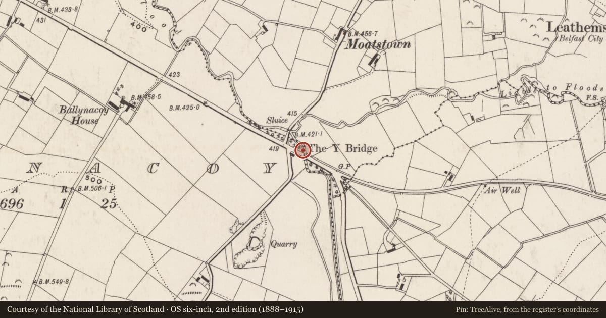 Ordnance Survey six-inch map, 2nd edition (1888–1915) covering the location of The Y Bridge, Lisburn and Castlereagh, with a pin at the register's coordinates