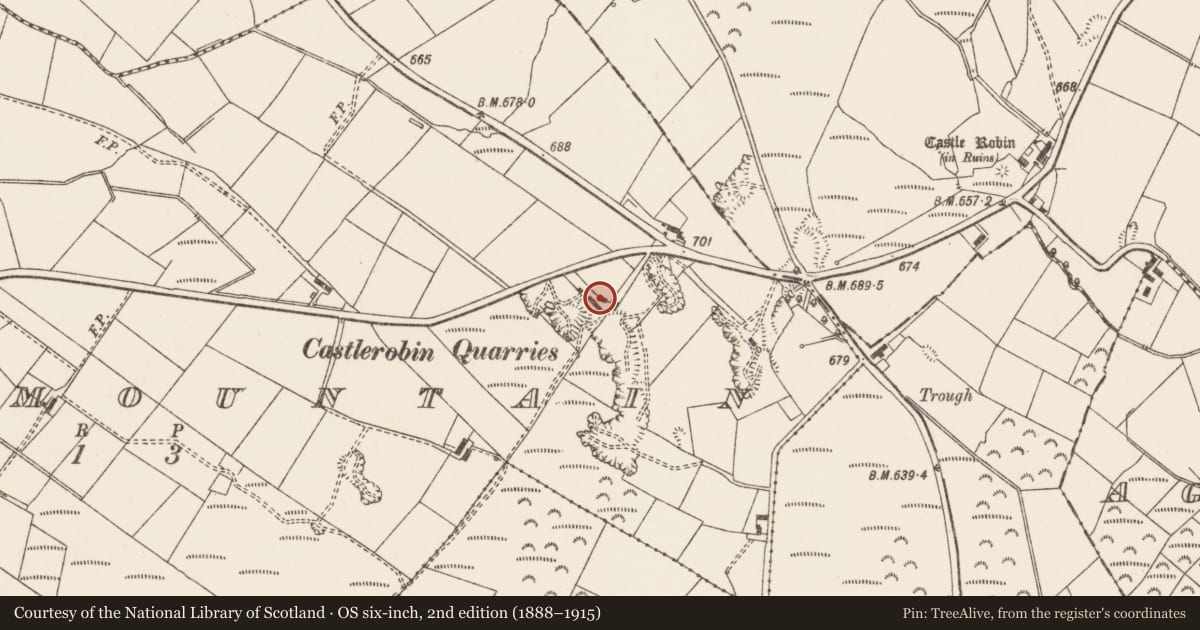 Ordnance Survey six-inch map, 2nd edition (1888–1915) covering the location of 3 Sheepwalk Road, Lisburn and Castlereagh, with a pin at the register's coordinates