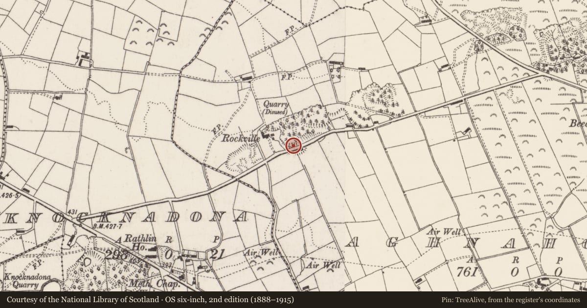 Ordnance Survey six-inch map, 2nd edition (1888–1915) covering the location of Benson's Road, Lisburn and Castlereagh, with a pin at the register's coordinates