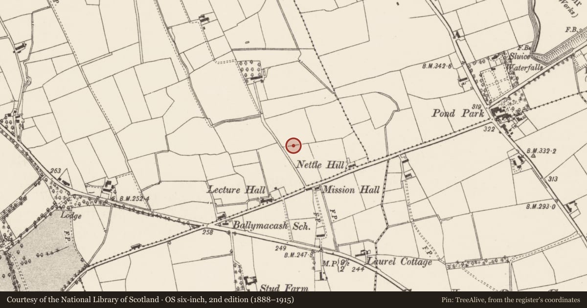 Ordnance Survey six-inch map, 2nd edition (1888–1915) covering the location of 23 Island Kelly Park, Aghnahough, Lisburn and Castlereagh, with a pin at the register's coordinates