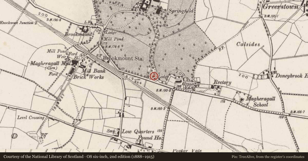 Ordnance Survey six-inch map, 2nd edition (1888–1915) covering the location of Springfield Lodge, Lisburn and Castlereagh, with a pin at the register's coordinates