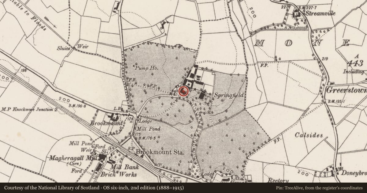 Ordnance Survey six-inch map, 2nd edition (1888–1915) covering the location of 74 Ballinderry Road, Lisburn and Castlereagh, with a pin at the register's coordinates