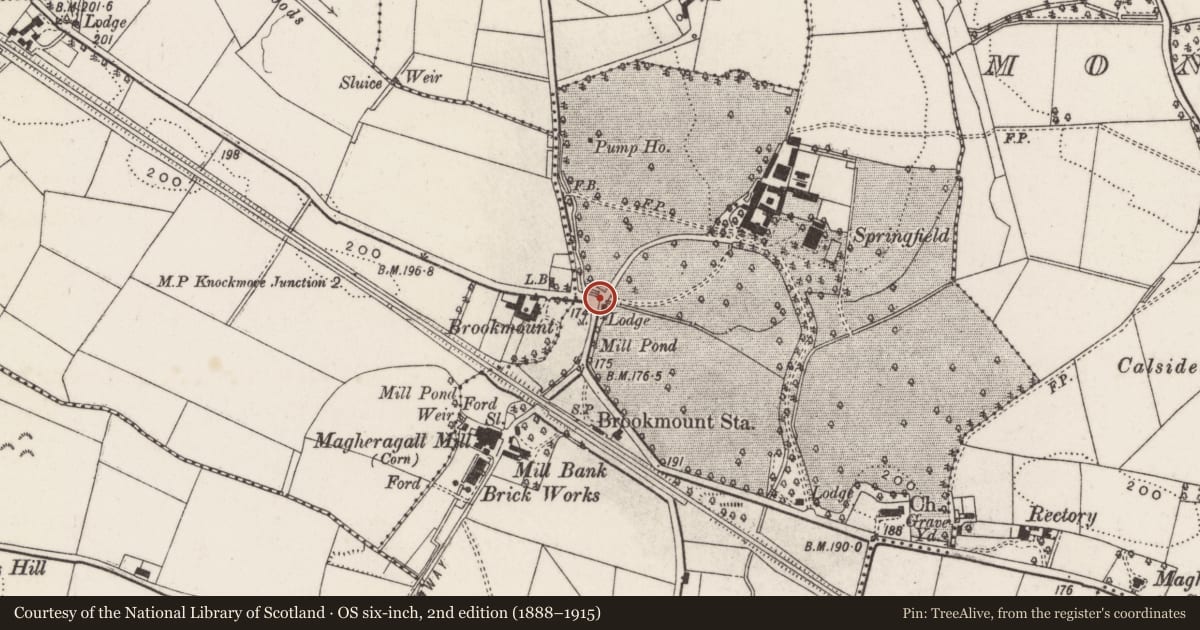 Ordnance Survey six-inch map, 2nd edition (1888–1915) covering the location of Springfield Gate Lodge, Lisburn and Castlereagh, with a pin at the register's coordinates