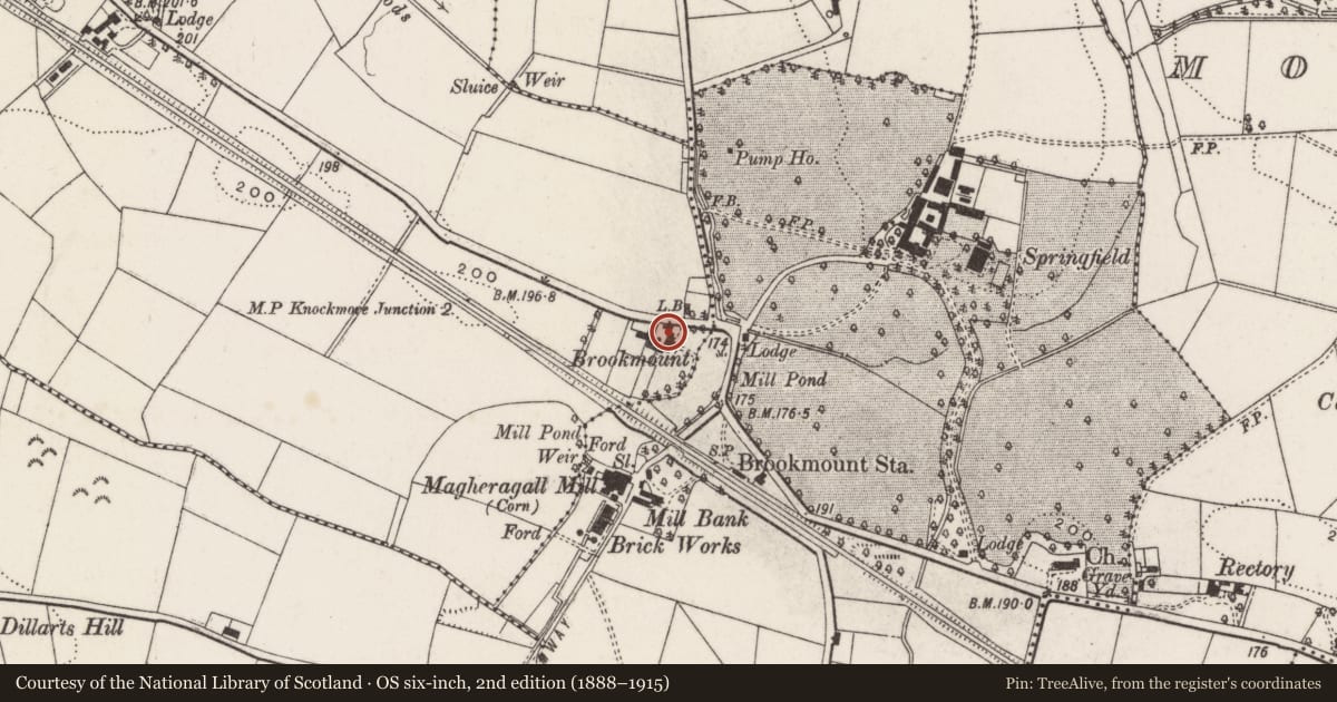 Ordnance Survey six-inch map, 2nd edition (1888–1915) covering the location of Brookmount, Lisburn and Castlereagh, with a pin at the register's coordinates