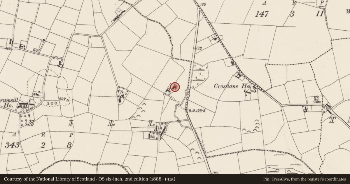 Ordnance Survey six-inch map, 2nd edition (1888–1915) covering the location of Riverview House, Lisburn and Castlereagh, with a pin at the register's coordinates