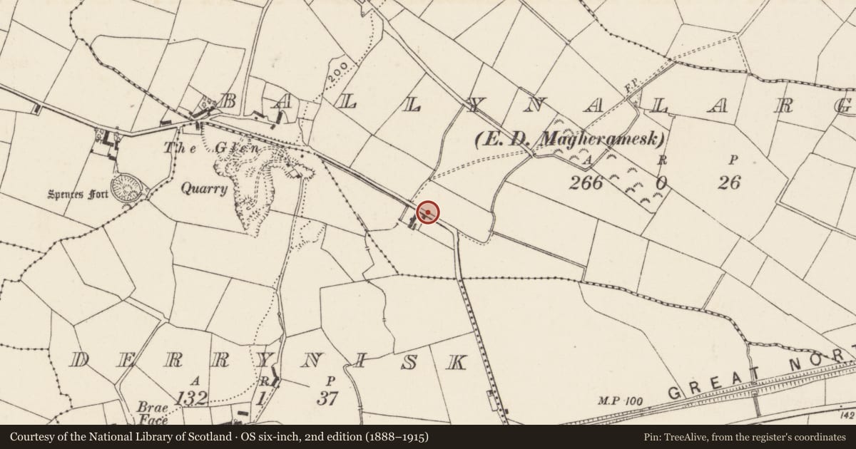 Ordnance Survey six-inch map, 2nd edition (1888–1915) covering the location of 4 Glen Road, Ballynalargy, Lisburn and Castlereagh, with a pin at the register's coordinates