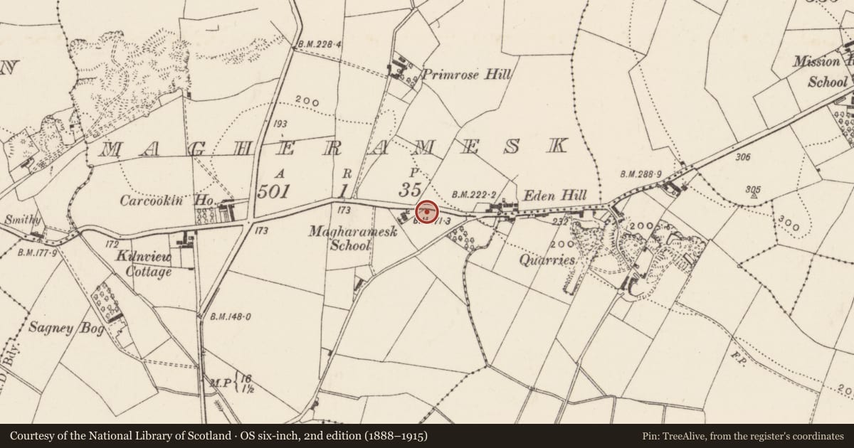 Ordnance Survey six-inch map, 2nd edition (1888–1915) covering the location of Roman Catholic Church of Blessed Virgin Mary and St. Brigid, Magheramesk, Lisburn and Castlereagh, with a pin at the register's coordinates